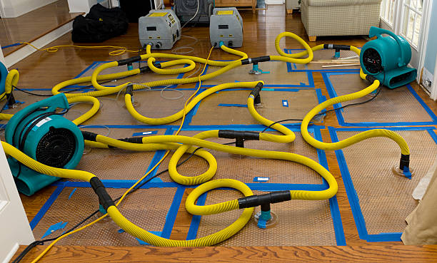 Professional Crawl Space Water Removal technician working in Palmdale, CA